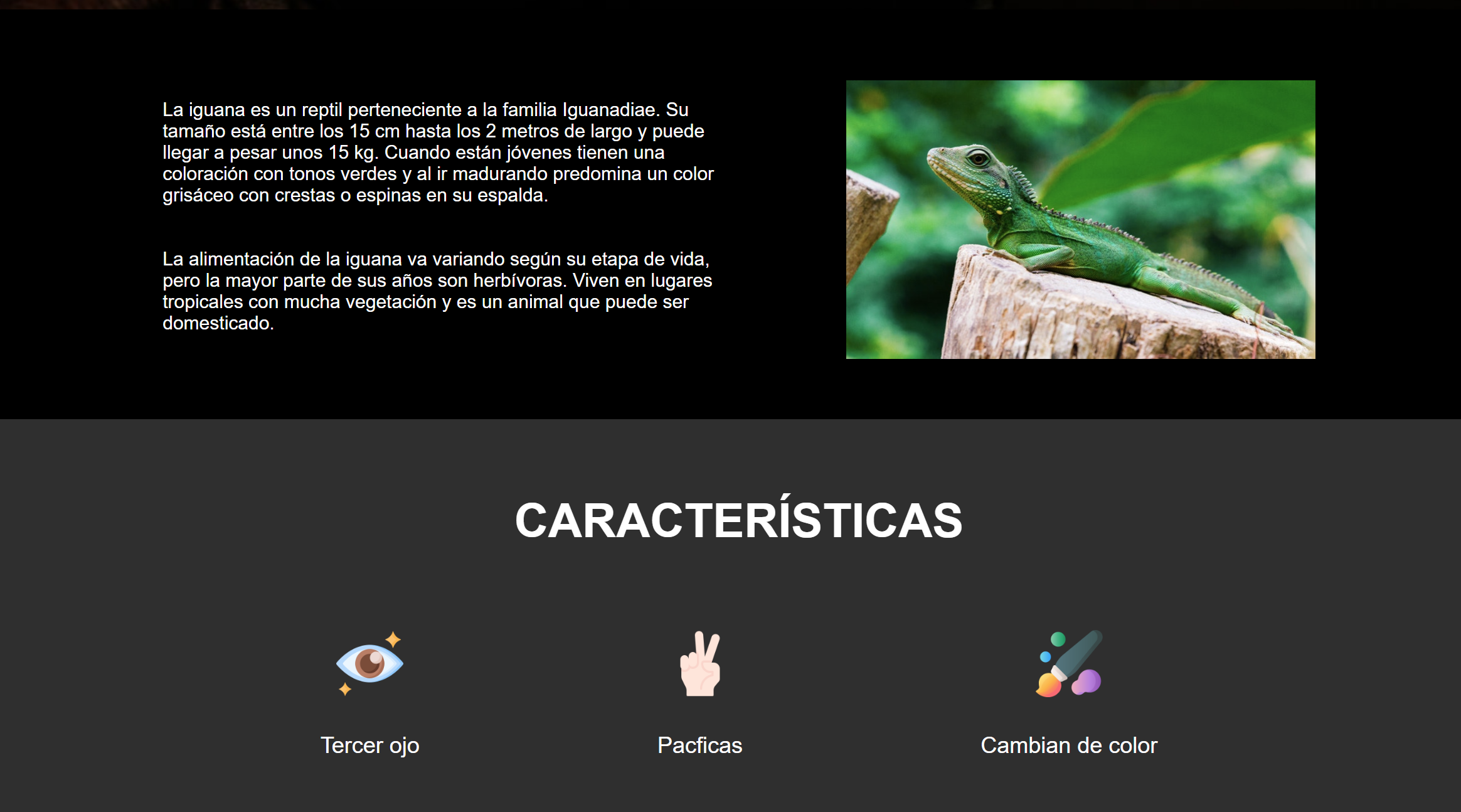screenshot of a landing page about iguanas